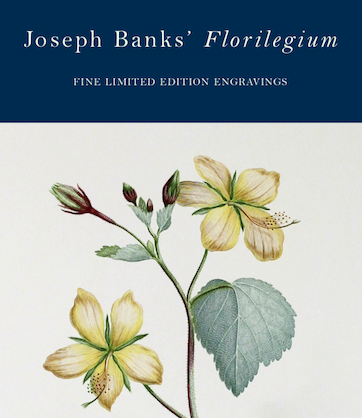 Joseph Banks’ Florilegium