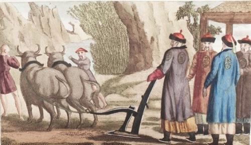 Asher Rare Books - China