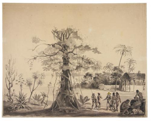 Forum Rare Books - Slavery