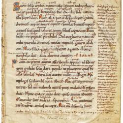 Publius Terentius Afer, Comoediae, Manuscript on Vellum, 13th Century, disbound.