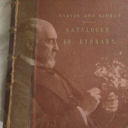 Horsham Museum - Frederick DuCane Godman