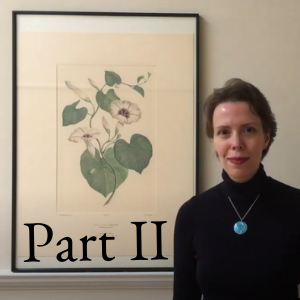 Joseph Banks Florilegium Part 2